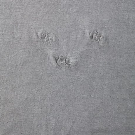 OLD JOE(オールドジョー) -ATHLETIC TEE “SCAR FACE”(PEWTER)