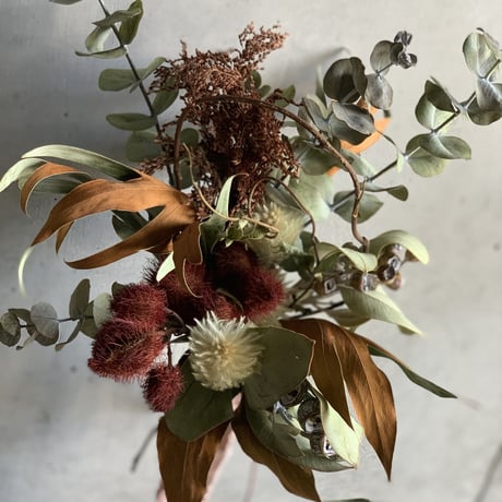 ［Dry flower］紅の木とユーカリの秋色コンパクトスワッグ