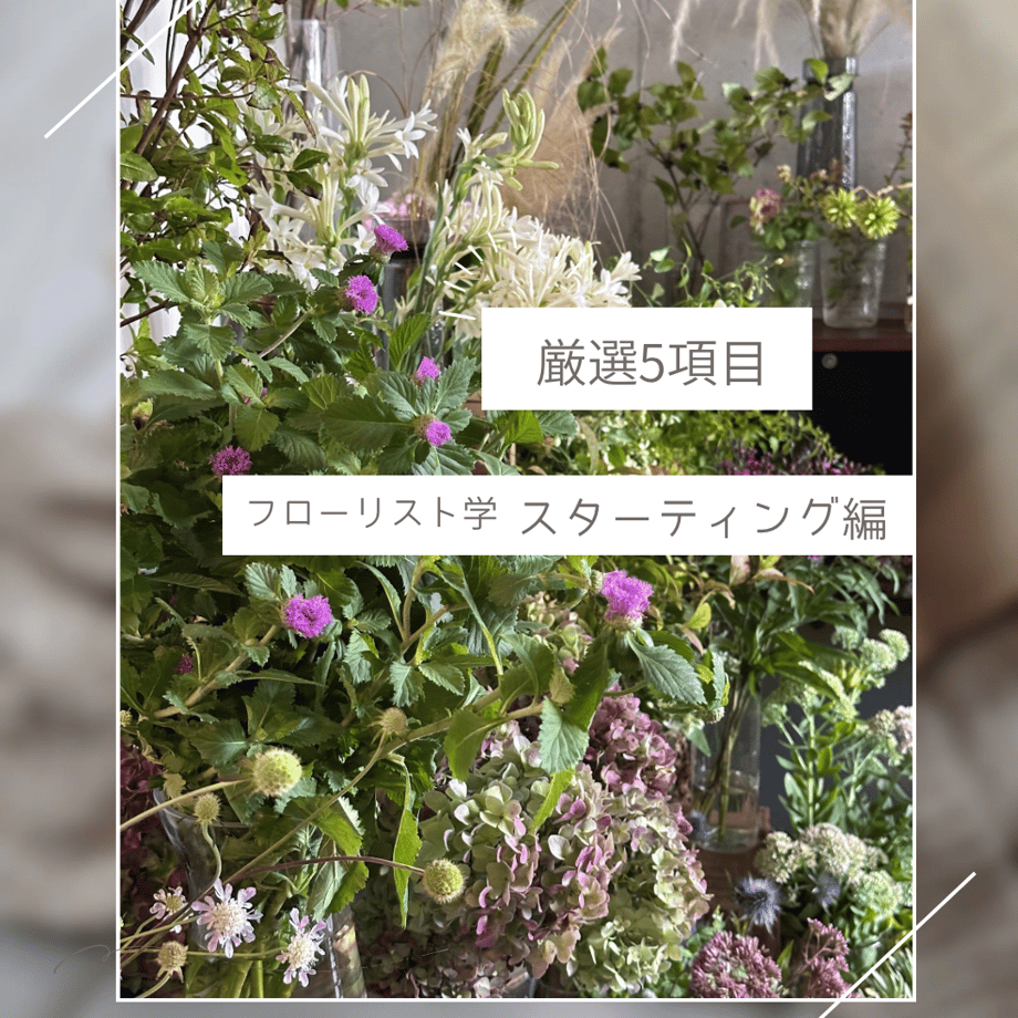 68e772de50f81d1132556ce6