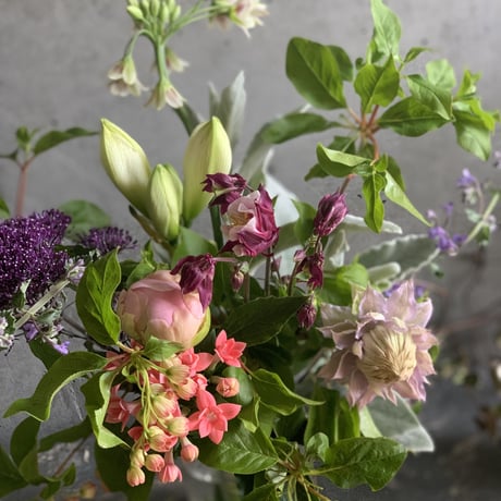 【定期便】フローリストが選ぶお花6回分おまとめセット（送料込み）