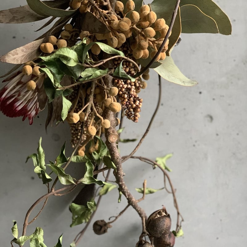 Dry flower］桐の実とプロテアのアートスワッグ | Atelier BRAZO