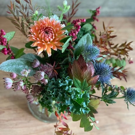 【定期便】フローリストが選ぶお花6回分おまとめセット（送料込み）