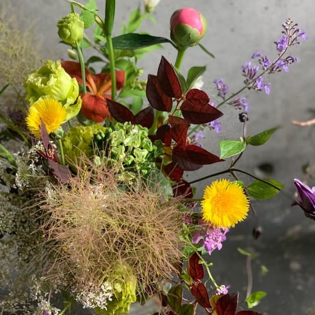 【定期便】フローリストが選ぶお花6回分おまとめセット（送料込み）