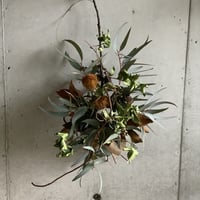 【Dry flower】テイカカズラとグリーンのブーケスワッグ