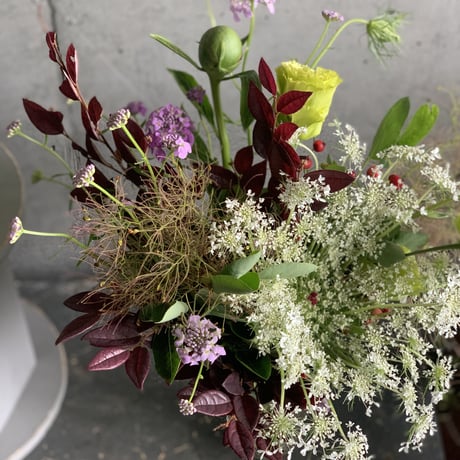 【定期便】フローリストが選ぶお花6回分おまとめセット（送料込み）