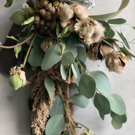 ［Dry flower］ブラウンコットンとテイカカズラのグリーンスワッグ