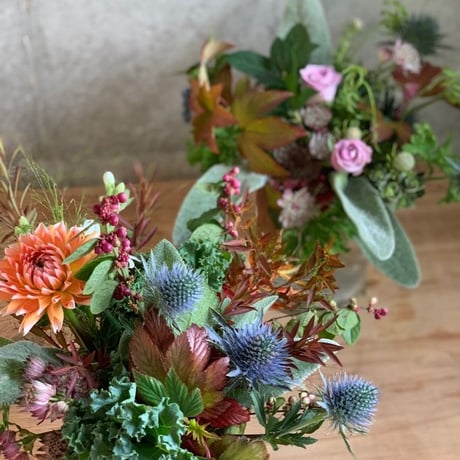 【定期便】フローリストが選ぶお花6回分おまとめセット（送料込み）