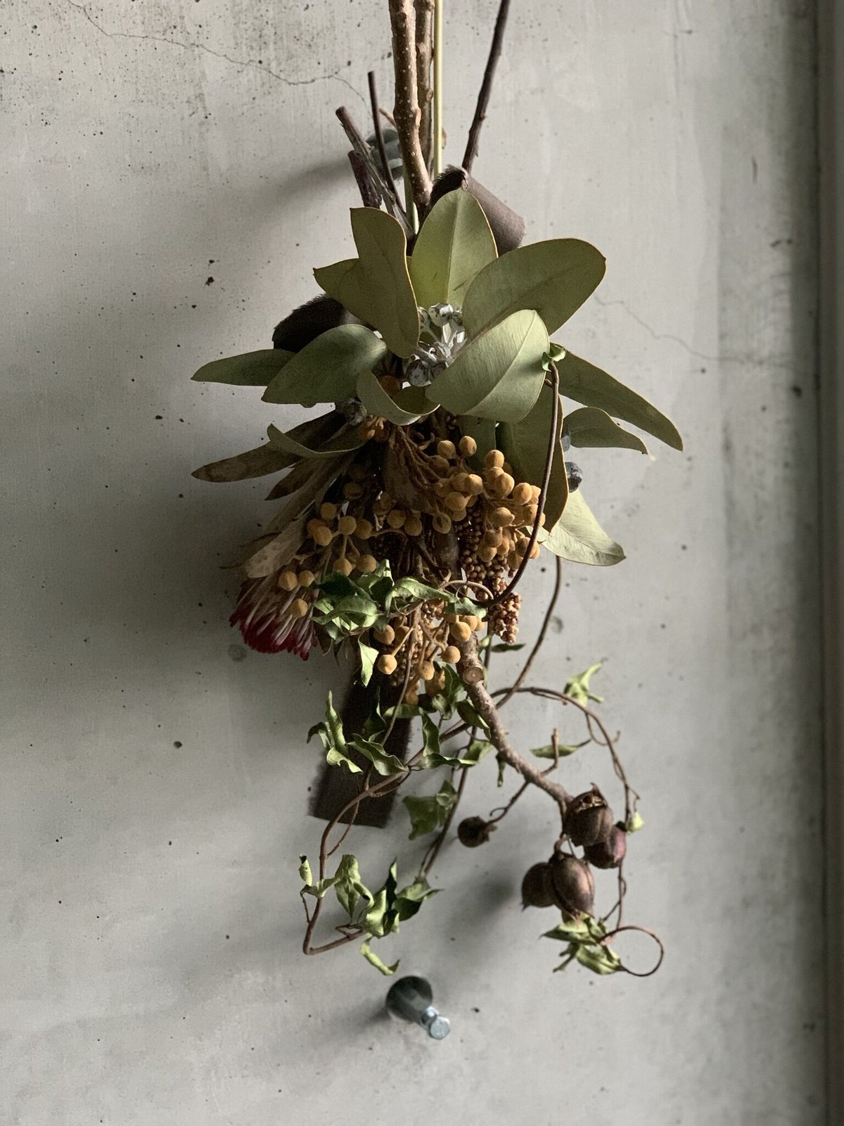 Dry flower］桐の実とプロテアのアートスワッグ | Atelier BRAZO