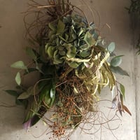 【Dry flower】ドライアジサイのスワッグ