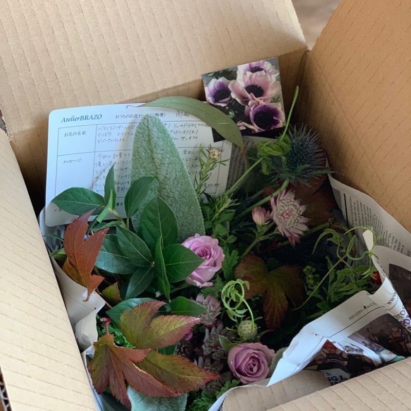 定期便】フローリストが選ぶお花6回分おまとめセット（送料込み  