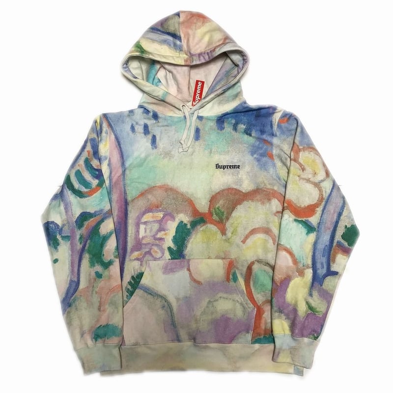 トップスSupreme landscape hooded sweatshirt M