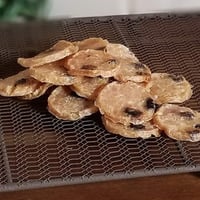 とりchips～とりチップス 自家製カッテージチーズ＆ブルーベリー～