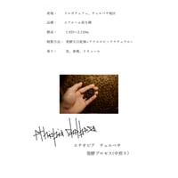 エチオピア チェルベサ発酵プロセス 100g(中煎)