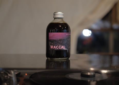 ウイスキとコリアンダのカフェオレベース(ノンアル) 250ml