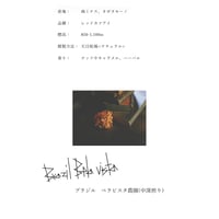 ブラジル ベラビスタ農園 100g(中深煎)