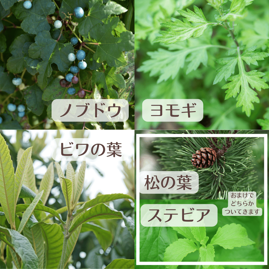 65064065e2dc7a002d4cd77c