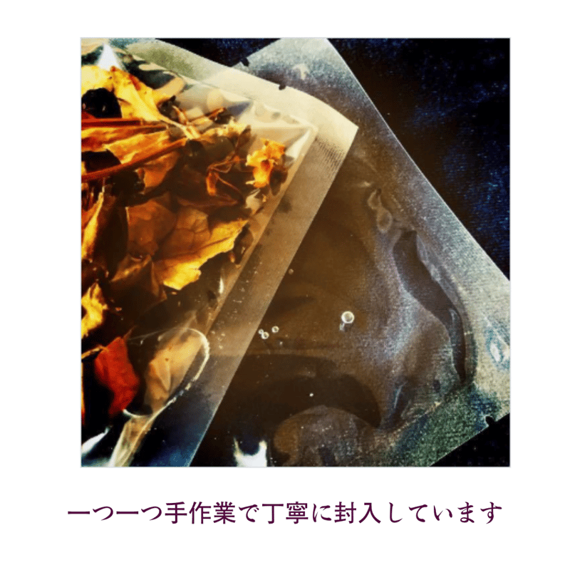 【中古】 ドクダミで健康づくり 身近な薬草ドクダミその効用と用い方！！/新星出版社 ドクダミで健康づくり: 身近な薬草ドクダミその効用と用い方