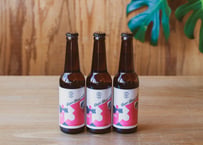 DAYDREAMER（330mlボトル×3本) | KAMIYAMA BEER