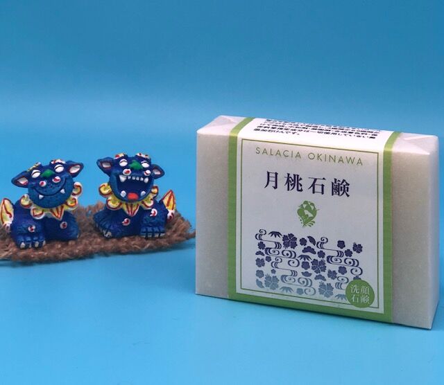 月桃石けん　10個　沖縄石鹸 月桃石鹸（げっとう石けん）100g | サラシア沖縄