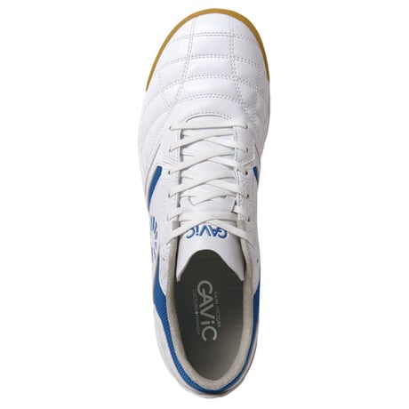GAViC ジーアティチュードID