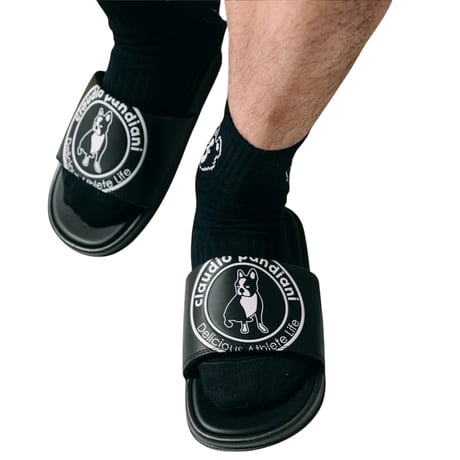 フレンチブルドッグ | STORES