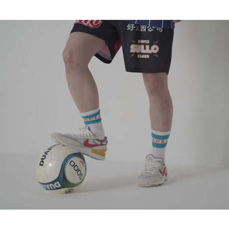SULLO LOGO SOX