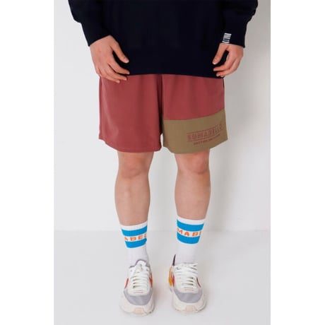 SULLO LOGO SOX