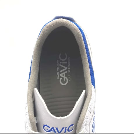 GAViC ジーアティチュードID