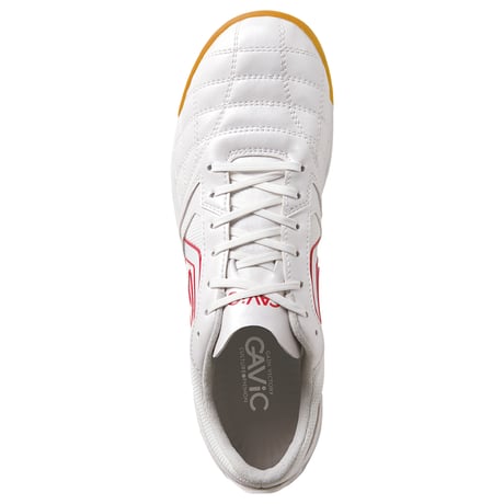GAViC ジーアティチュードID