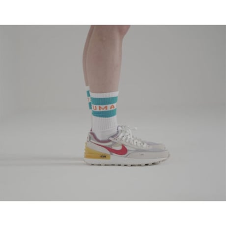 SULLO LOGO SOX
