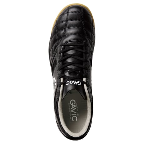 GAViC ジーアティチュードID