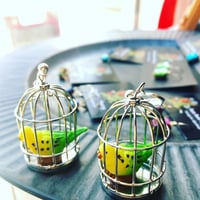 【所さんお届けモノです！】鳥かごに入ったインコのイヤリング・ピアス セキセイインコ刺繍の黒いベルベット巾着つき