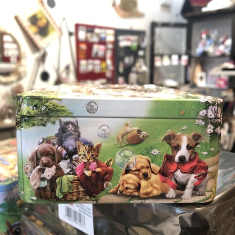 再入荷！ガーデンパーティ　子犬と子猫のクッキー缶