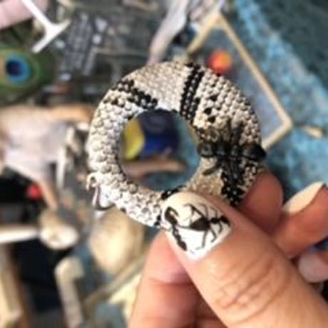 蛇と蟻のピアス