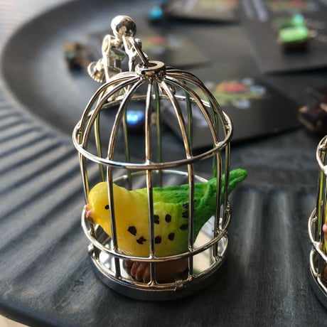 【所さんお届けモノです！】鳥かごに入ったインコのイヤリング・ピアス セキセイインコ刺繍の黒いベルベット巾着つき