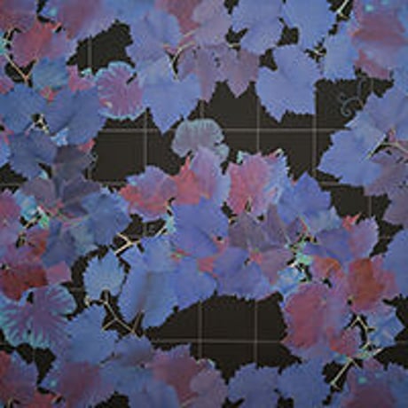 umbrella GrapeVine series, color night  折りたたみ傘
