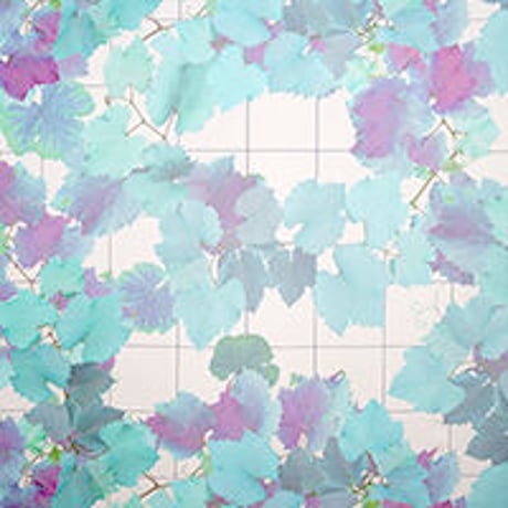 umbrella GrapeVine series, color morning  折りたたみ傘