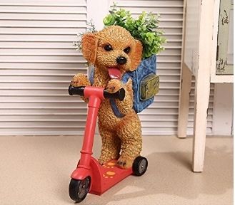 トイプードルアプリコットちゃん♡立ちポーズ。ビッグサイズ こんばんは🧸✨ ハートフルペット麻布十番店です😌🐶🐱✨ くまの