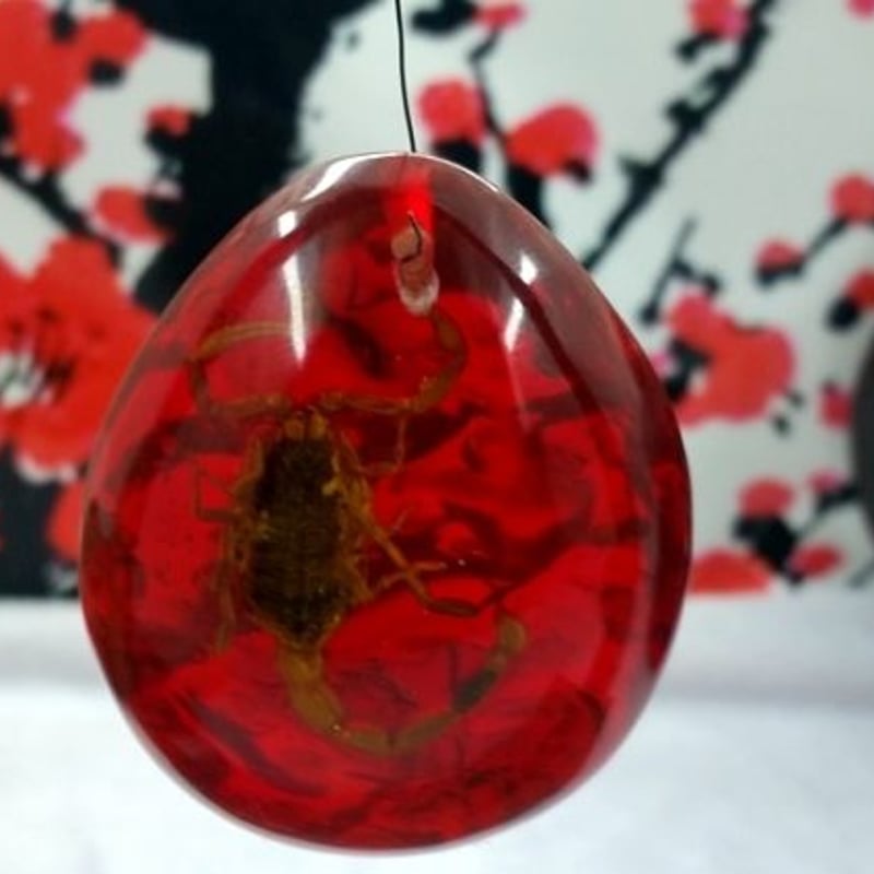 古い蜜蝋琥珀のペンダントの血のサソリペンダント | 吉田商店