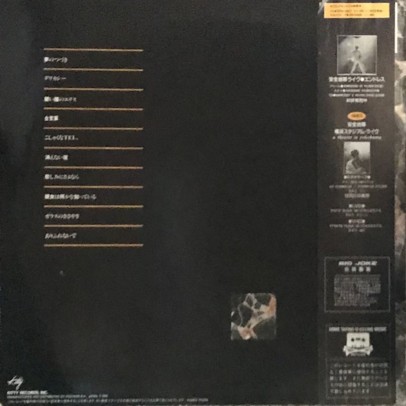 安全地帯 - 安全地帯Ⅳ | OTTOTTORECORDS