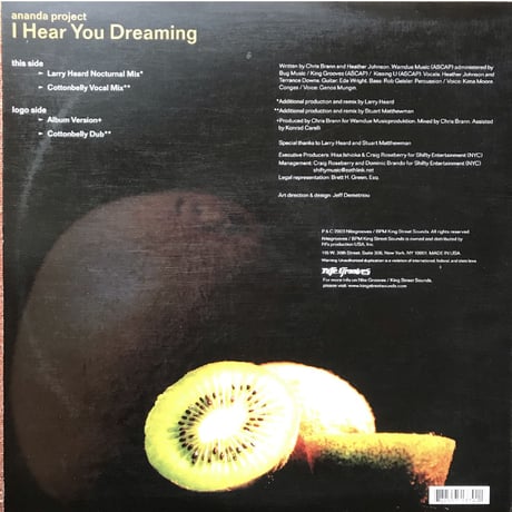 ananda project i hear you dreaming