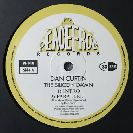 Dan Curtin - The Silicon Dawn Repress