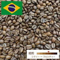[中深煎り] ブラジル ダテーラ 100g