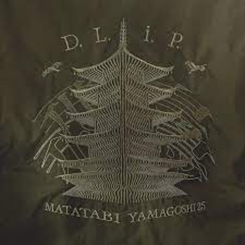 DUSTY HUSKY DLIP-0091 山越 レコード アナログ盤 DUSTY HUSKY