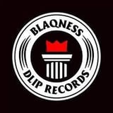 DLiP RECORDS OFFICIAL WEB SHOP