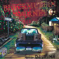 PE2 / TIMELESS [CD] | DLiP RECORDS OFFICIAL WEB