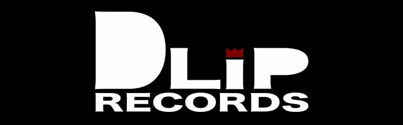 CATEGORY 12inch | DLiP RECORDS OFFICIAL WEB SHOP