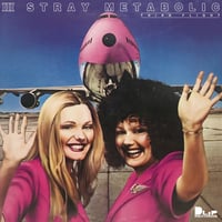 BLAHRMY / A REPORT OF BIRDSTRIKE [CD] | DLiP RE