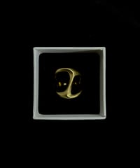 brass ring C
