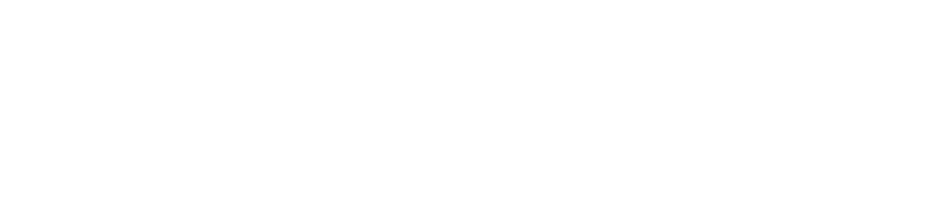Armée STORE